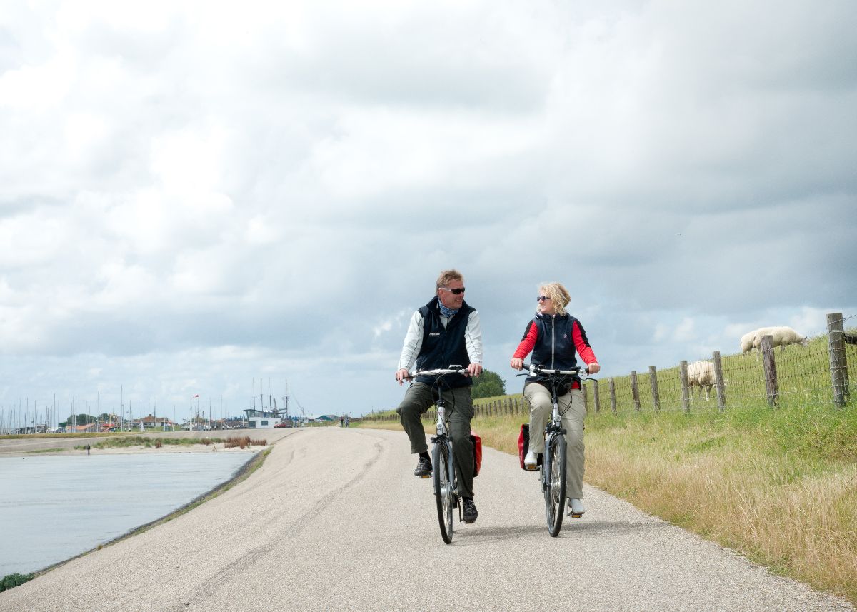 boat&bike - Lake IJsselmeer and Amsterdam