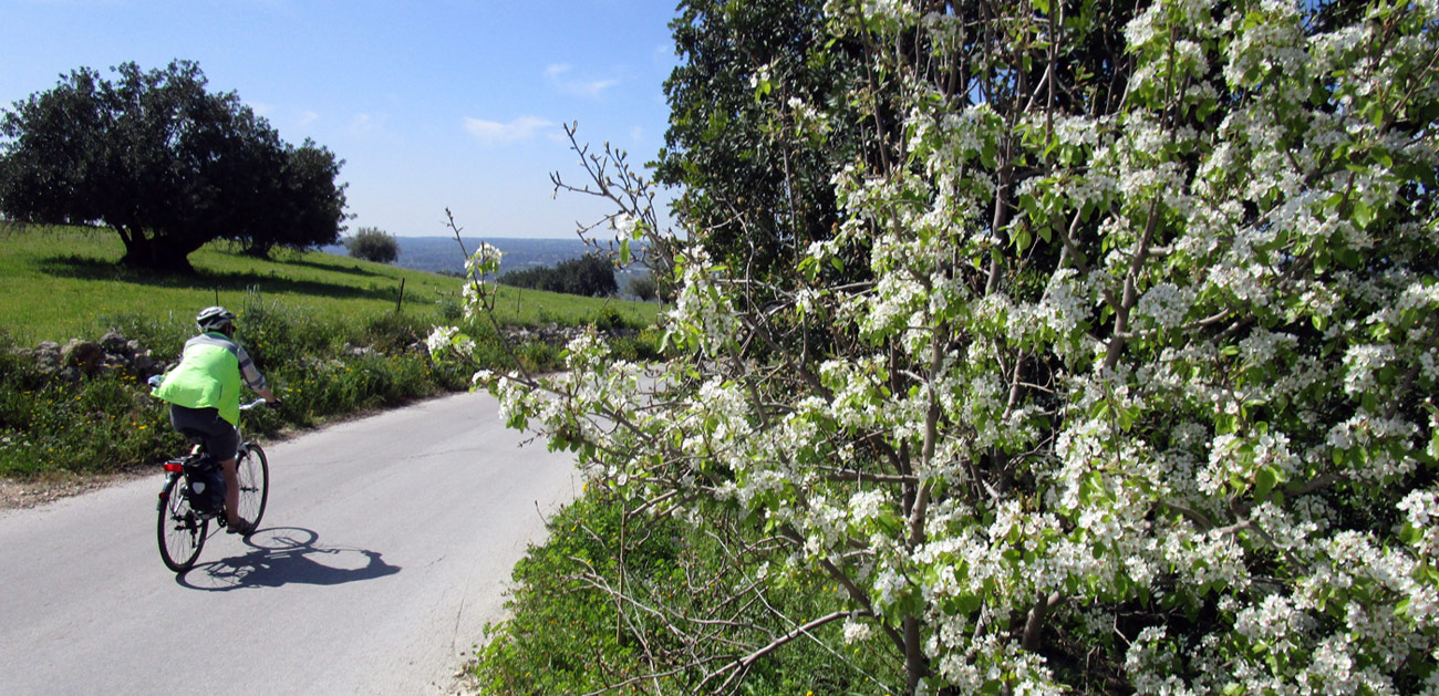 Italy: Sicily: road bike tour from Syracuse (Siracusa) through the Hyblaean (Iblei) mountains to Mt. Etna