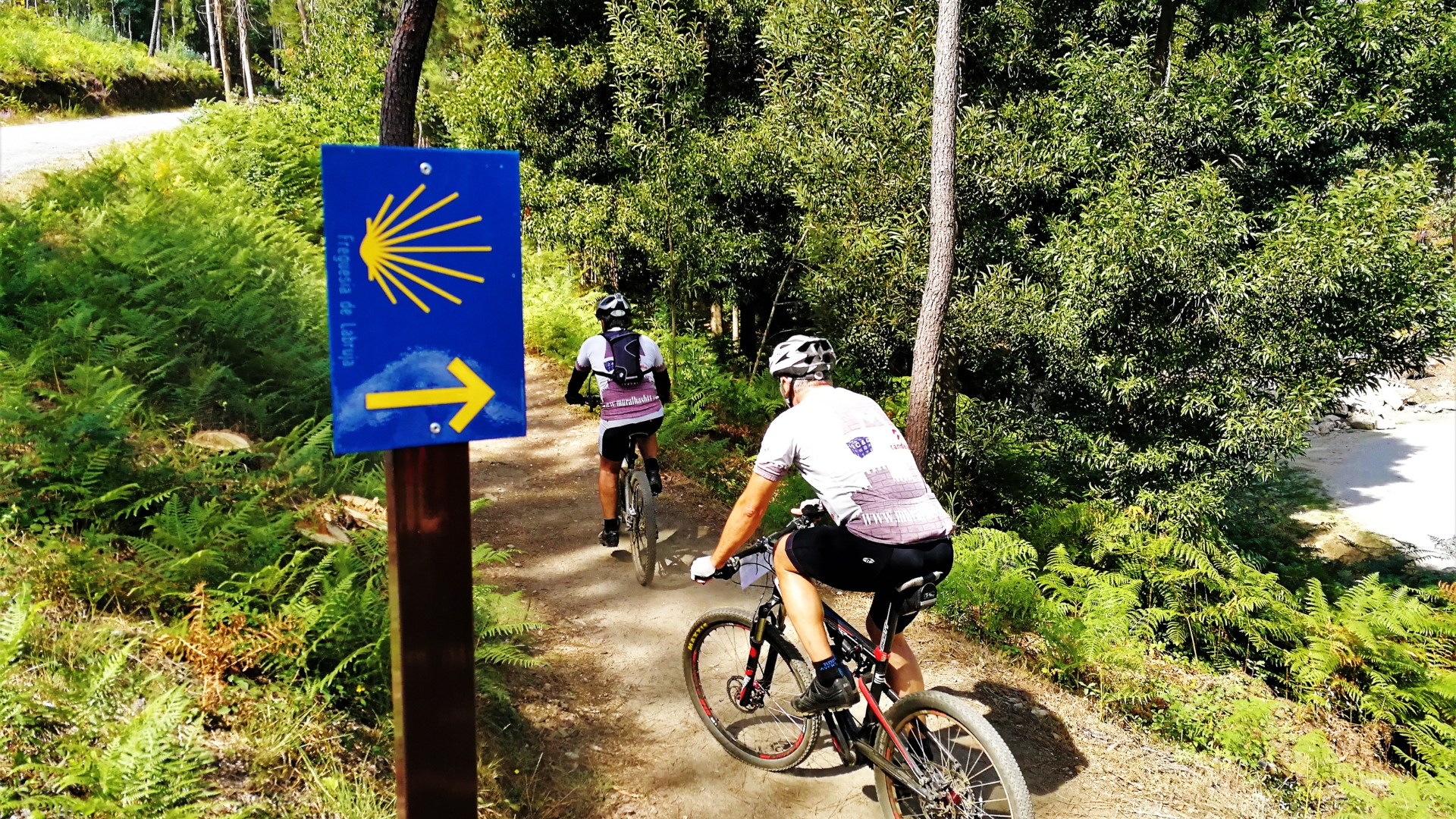 Cycling the Portuguese Camino de Santiago